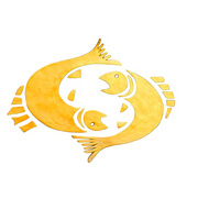 インド占星術　魚座