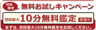 電話占いリノア　初回最大10分無料　おすすめ