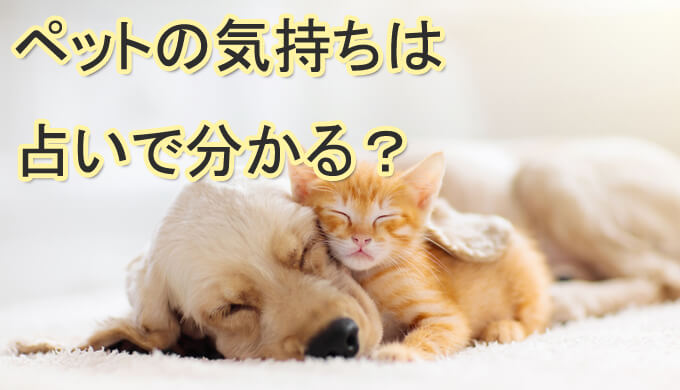 ペット占い　ペットロス　ペットの気持ち　おすすめ　口コミ　当たる占い師　評判