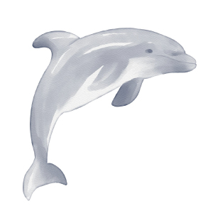 twittericon