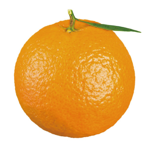 twittericon