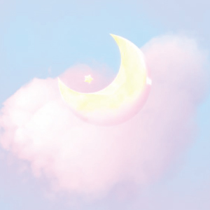 twittericon