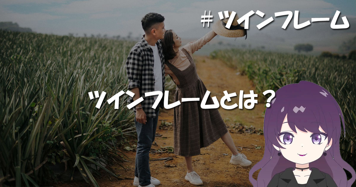 ツインフレームとは