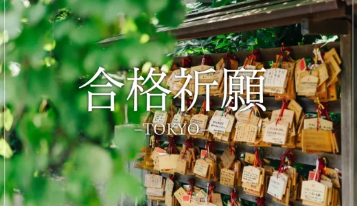 【合格祈願】学業成就にご利益のある東京の神社仏閣１０選-パワースポット